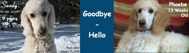 Goodbye-Hello Video
